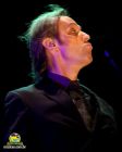 Peter Murphy 6