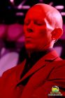 Vince Clarke